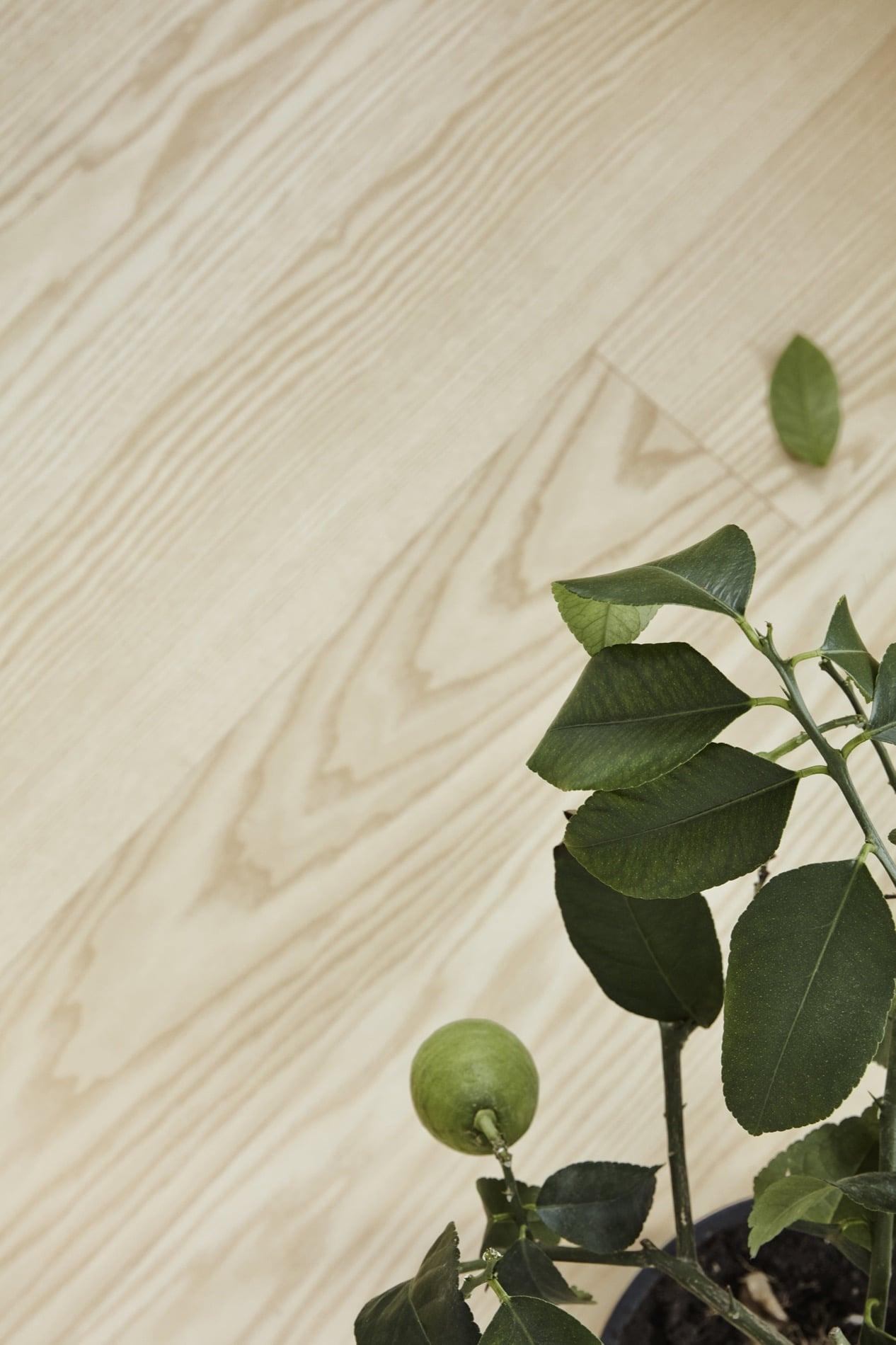 Timberwise parketti puulattia wooden floor parquet Saarni Ash Select îljyvaha wax oil_lahis1