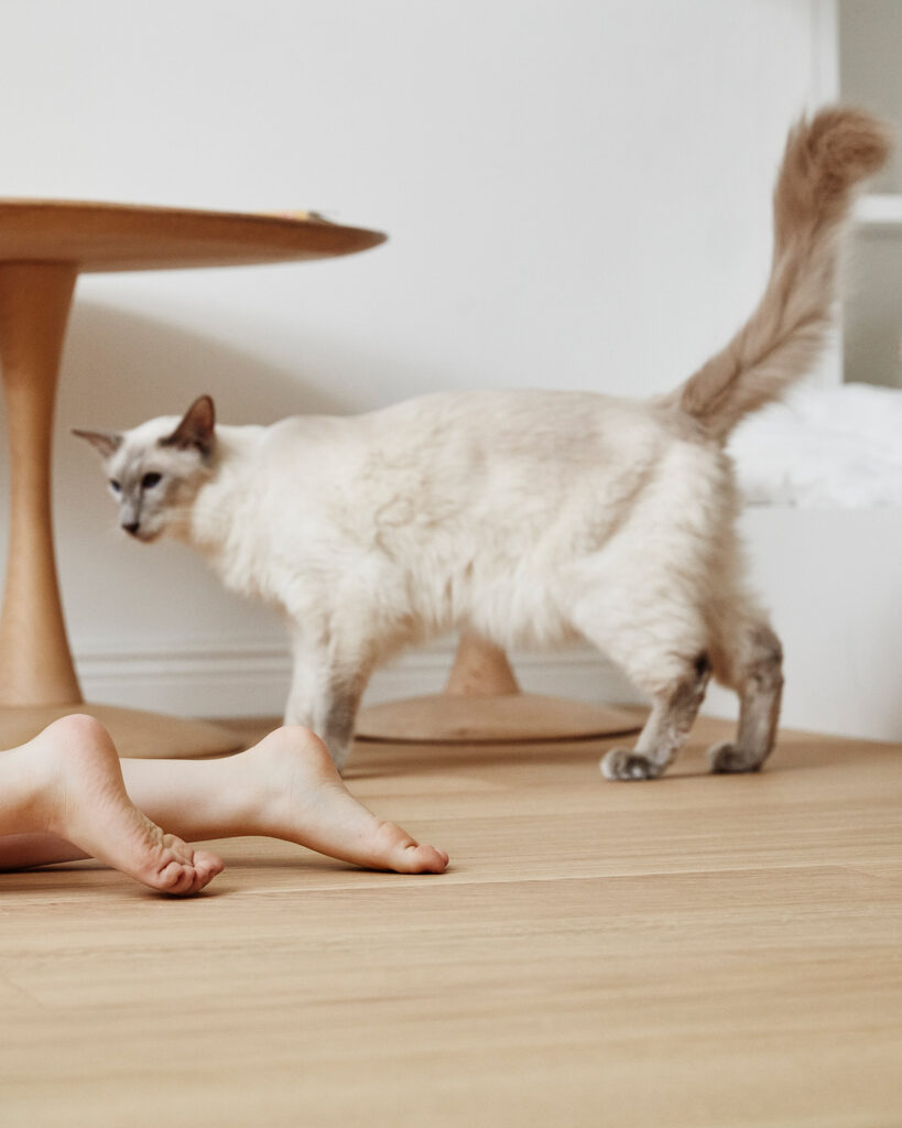 Timberwise-parkettilattia-nordic-lapsi-ja-kissa