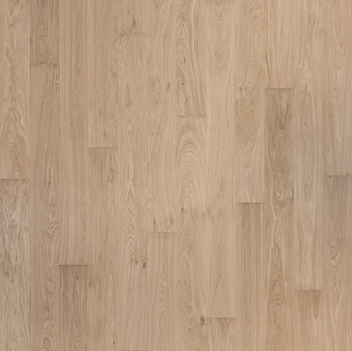 Timberwise Tammi Classic NORDIC